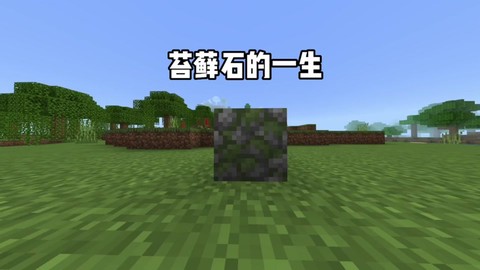 我的世界苔石怎么做[图1]