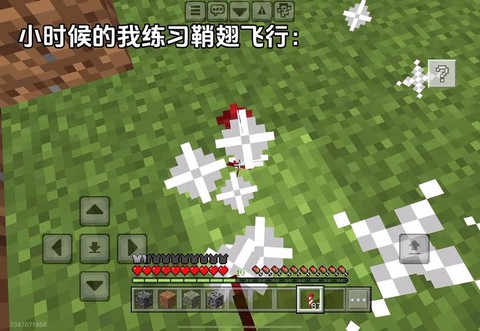 我的世界翅膀怎么做[图2]