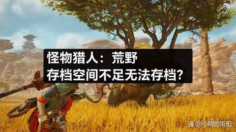 怪物猎人4怎么存档[图2]