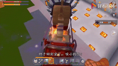 迷你世界的狼怎么训