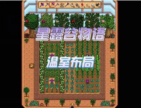 星露谷物语怎么温室[图1]
