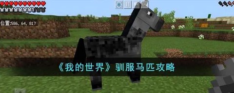 我的世界马怎么骑手机版[图2]