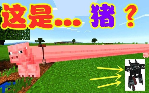 我的世界怎么驯化猪
