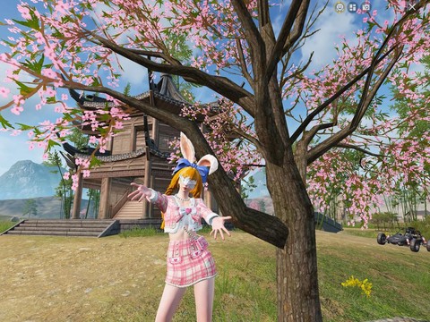 绝地求生怎么一个人玩[图2]