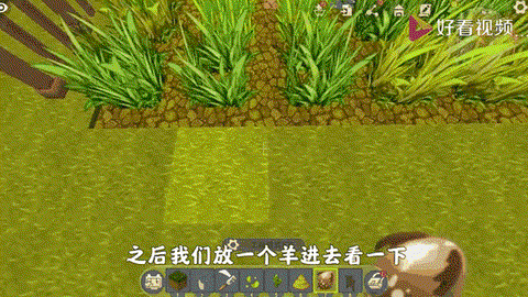 迷你世界如何做草地[图1]