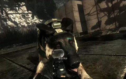 使命召唤10狗怎么过[图2]