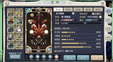 魔力宝贝宠物怎么看[图2]