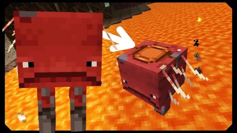 我的世界人怎么驯服