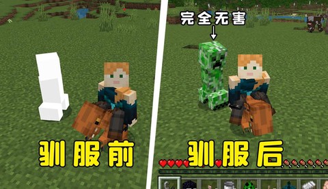 我的世界人怎么驯服[图1]