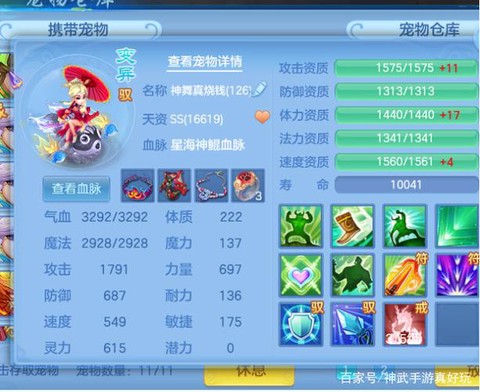 神武55带什么宝宝