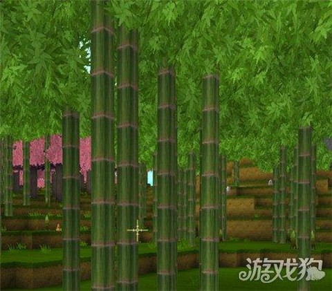 迷你世界怎么种竹子[图2]