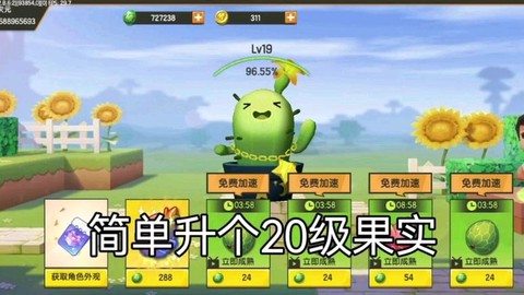 迷你世界怎么种松果