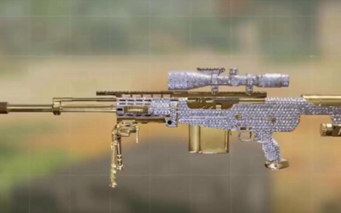 使命召唤online什么枪好