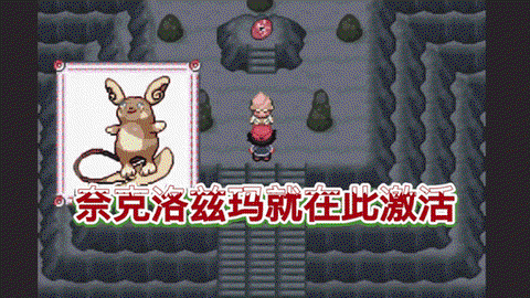 口袋妖怪绿宝石怎么忘记[图2]